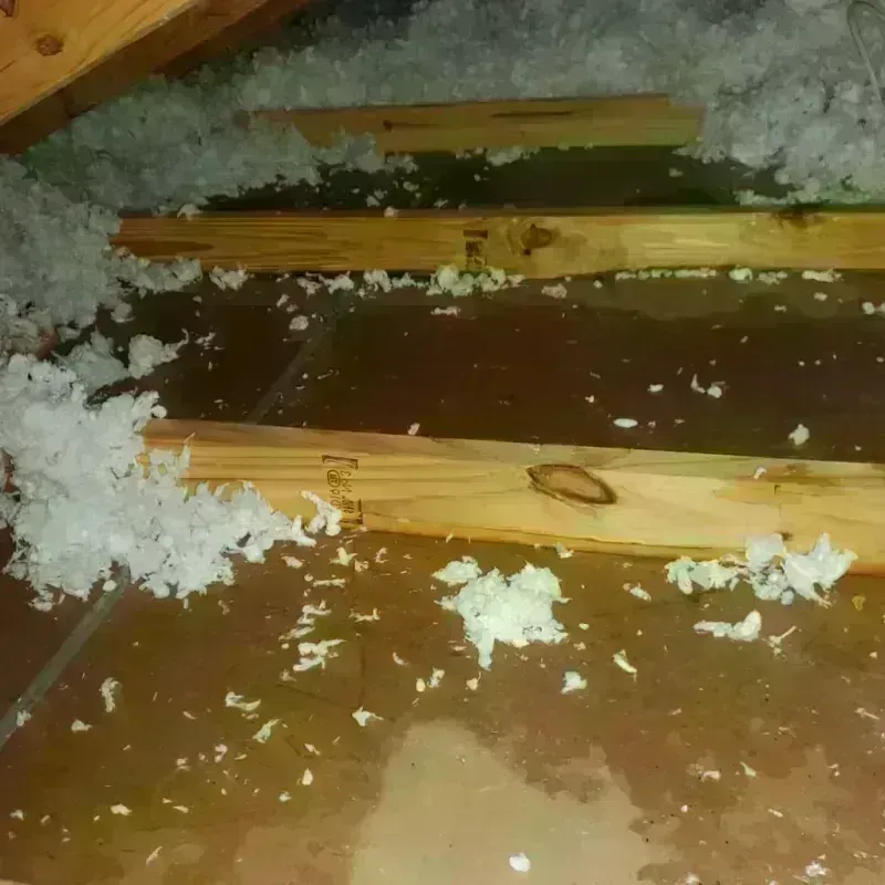 Attic Water Damage in Level Park-Oak Park, MI