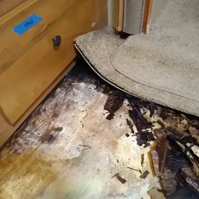 Wood Floor Water Damage in Level Park-Oak Park, MI